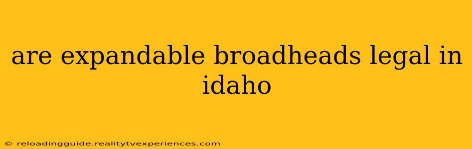 are expandable broadheads legal in idaho