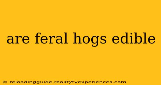 are feral hogs edible