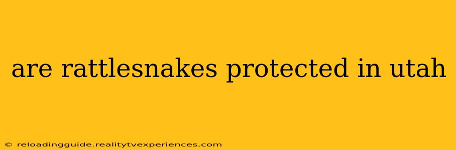 are rattlesnakes protected in utah