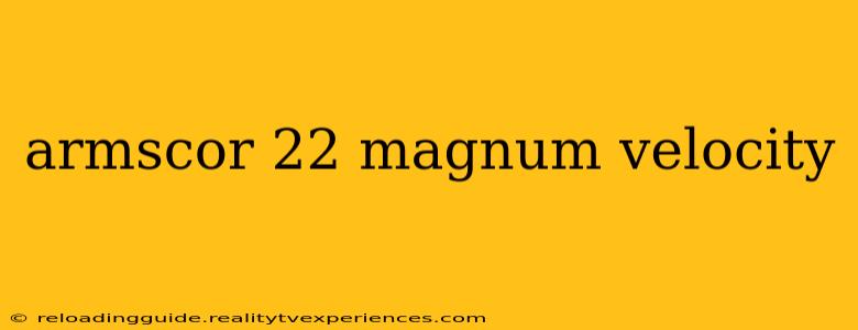 armscor 22 magnum velocity