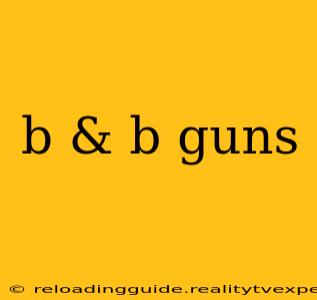 b & b guns