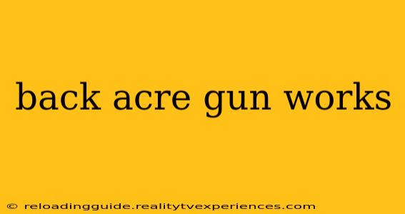 back acre gun works