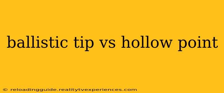 ballistic tip vs hollow point