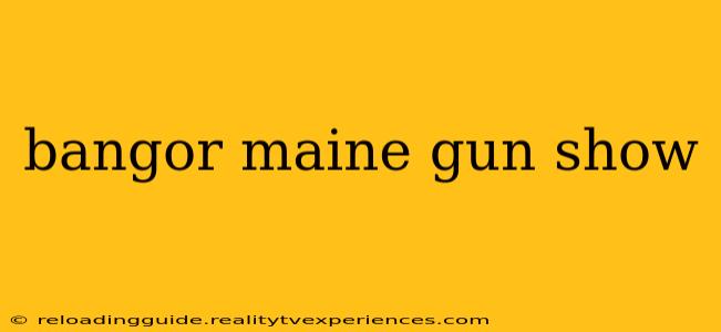 bangor maine gun show