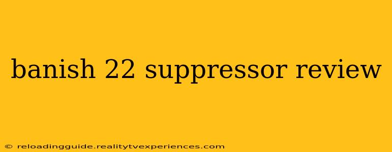 banish 22 suppressor review