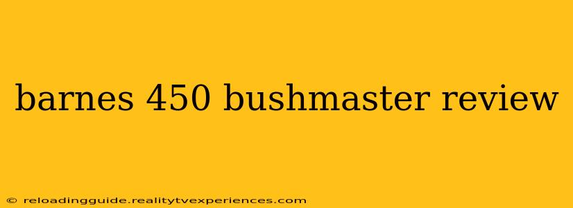 barnes 450 bushmaster review