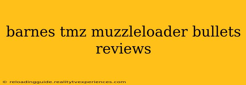 barnes tmz muzzleloader bullets reviews