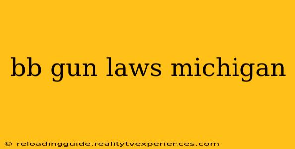 bb gun laws michigan