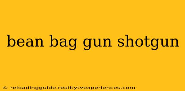 bean bag gun shotgun