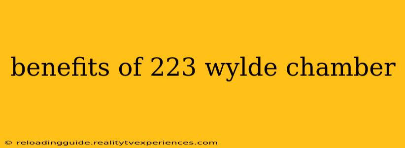 benefits of 223 wylde chamber