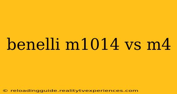 benelli m1014 vs m4