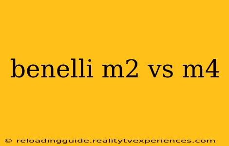 benelli m2 vs m4