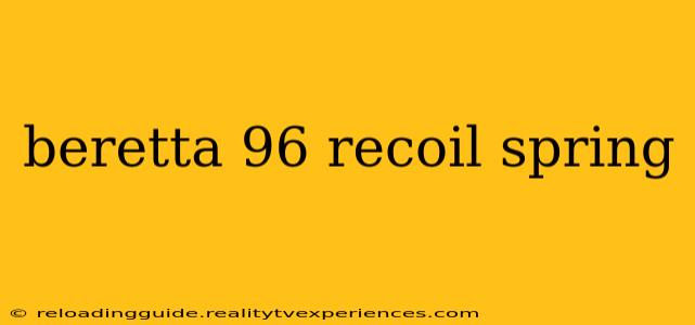 beretta 96 recoil spring