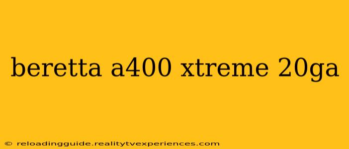 beretta a400 xtreme 20ga