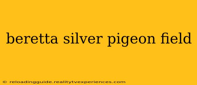 beretta silver pigeon field