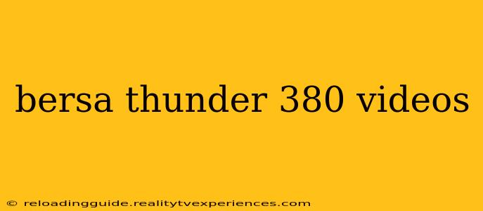 bersa thunder 380 videos