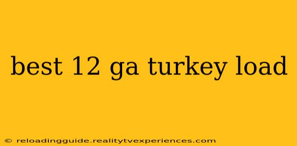 best 12 ga turkey load