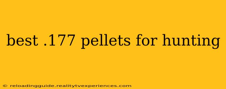 best .177 pellets for hunting