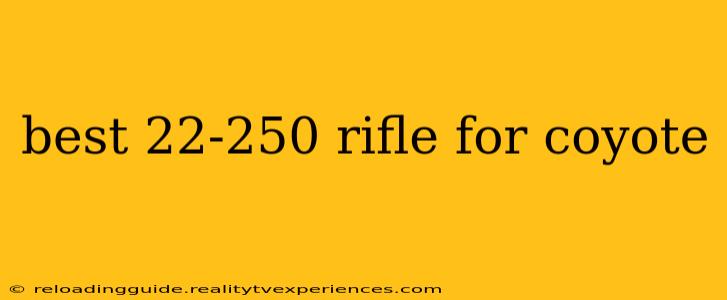 best 22-250 rifle for coyote