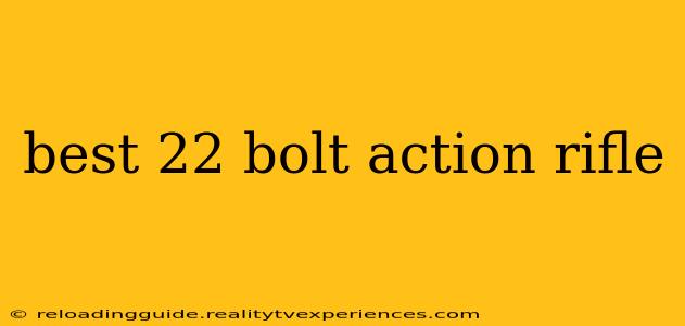 best 22 bolt action rifle