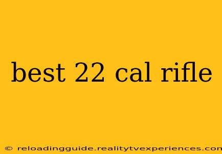 best 22 cal rifle