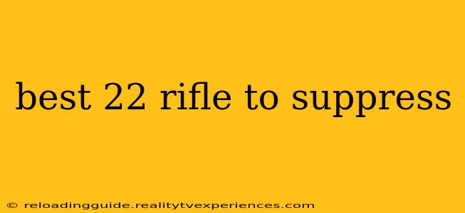 best 22 rifle to suppress