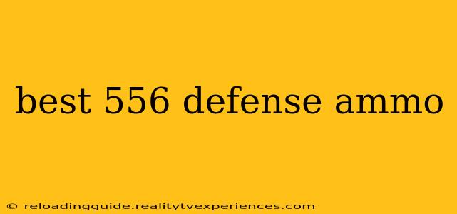 best 556 defense ammo