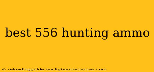 best 556 hunting ammo