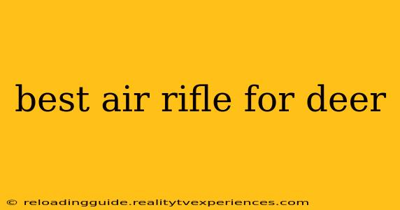 best air rifle for deer