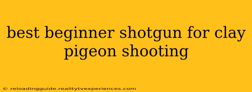 best beginner shotgun for clay pigeon shooting