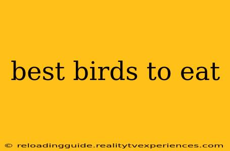 best birds to eat