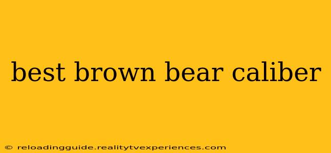 best brown bear caliber