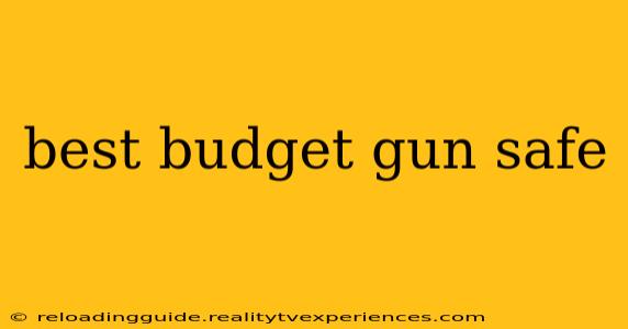 best budget gun safe