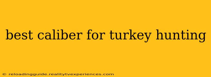 best caliber for turkey hunting