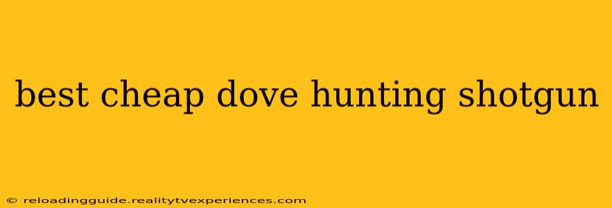 best cheap dove hunting shotgun