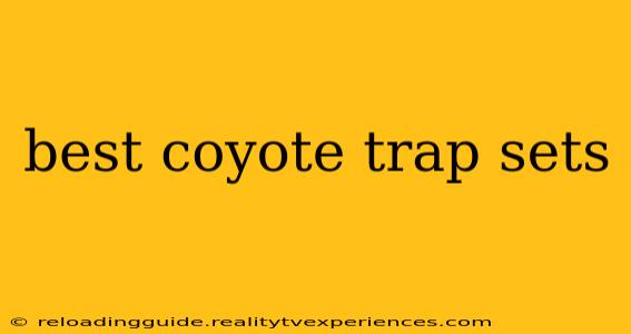 best coyote trap sets