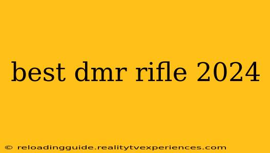 best dmr rifle 2024