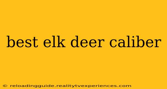 best elk deer caliber