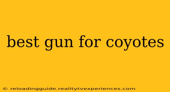 best gun for coyotes