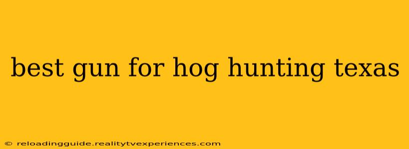 best gun for hog hunting texas