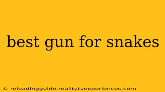 best gun for snakes