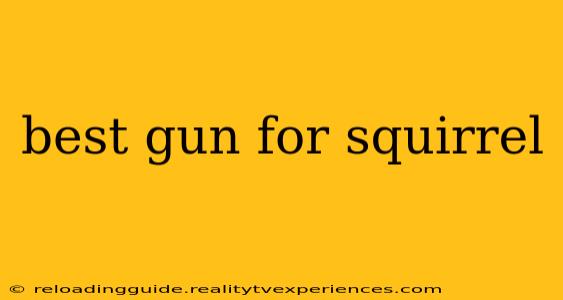 best gun for squirrel