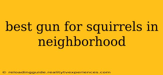 best gun for squirrels in neighborhood