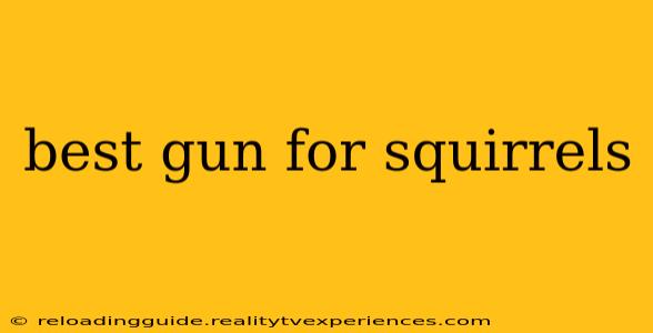 best gun for squirrels