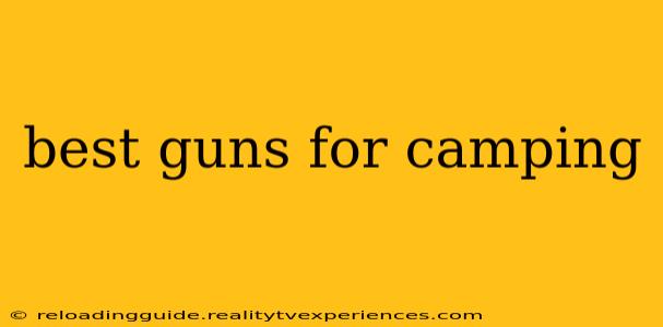 best guns for camping