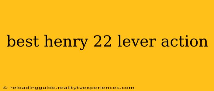 best henry 22 lever action