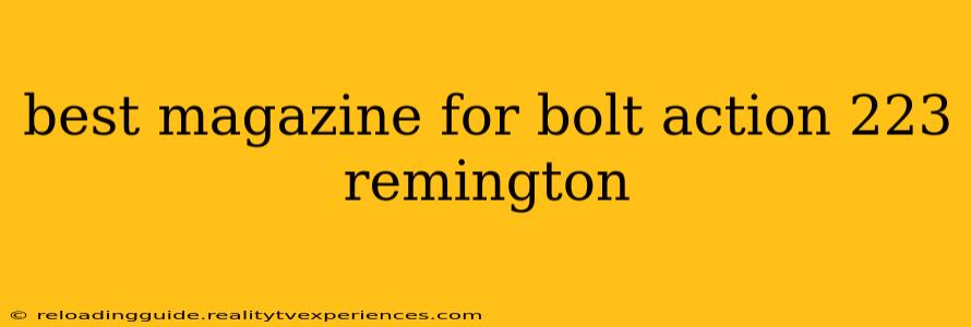 best magazine for bolt action 223 remington