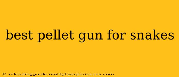 best pellet gun for snakes