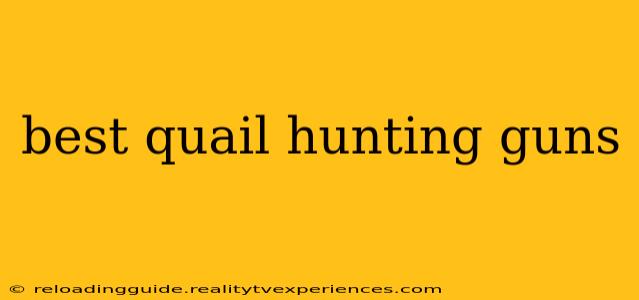 best quail hunting guns