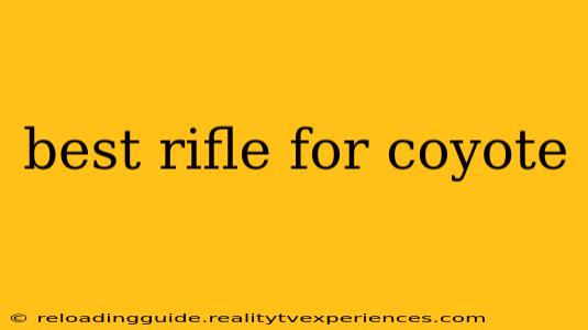 best rifle for coyote